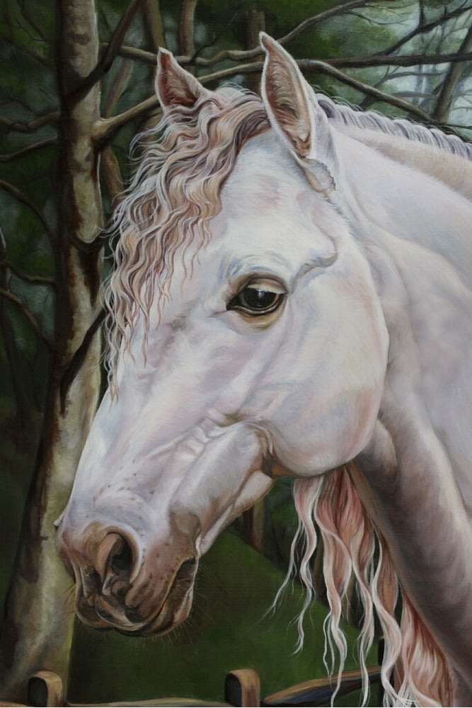 Theresa Reuter - White Stallion Horse Painting